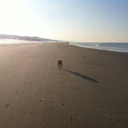 Appartement De Zilvermeeuw