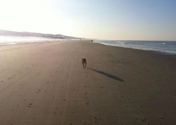 Lägenhet De Zilvermeeuw